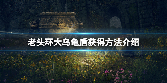 《艾爾登法環》大烏龜殼怎麼拿？大烏龜盾獲得方法介紹