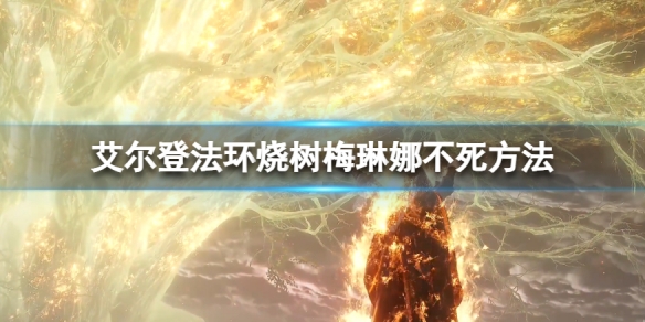 《艾爾登法環》梅琳娜怎麼救？燒樹梅琳娜不死方法