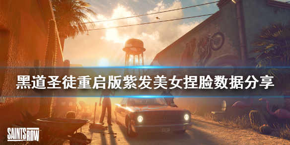 《黑道聖徒重啟版》紫發美女怎麼捏?紫發美女捏臉數據分享