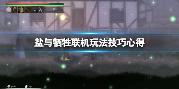 《鹽與獻祭》聯機怎麼玩？聯機玩法技巧心得