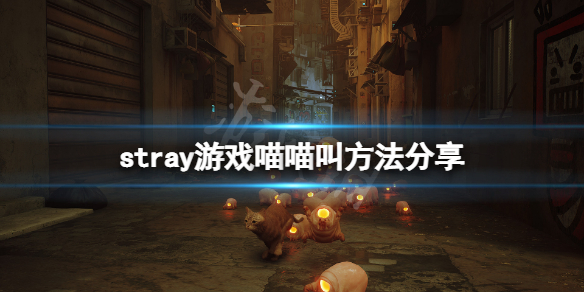 《迷失》怎麼喵喵叫？stray遊戲喵喵叫方法分享