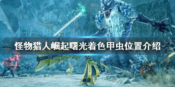《怪物獵人崛起》著色甲蟲在哪？曙光著色甲蟲位置介紹