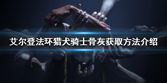 《艾爾登法環》獵犬騎士骨灰如何獲得？獵犬騎士骨灰獲取方法介紹