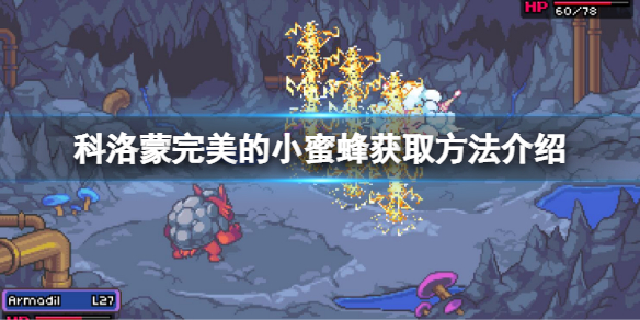 《科洛蒙》如何免費獲得一隻完美的小蜜蜂？完美的小蜜蜂獲取方法介紹