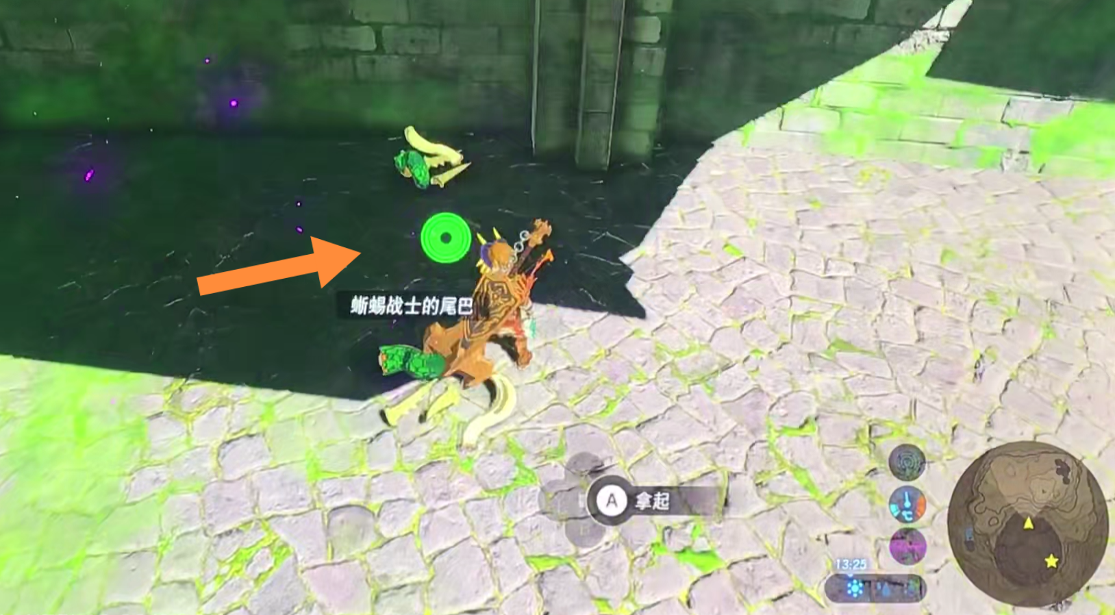 塞爾達綠色蜥蜴戰士的尾巴哪裡刷？