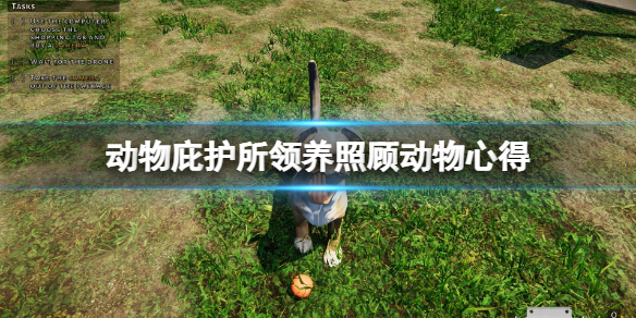 《動物收容所模擬器》怎麼領養動物？領養照顧動物心得