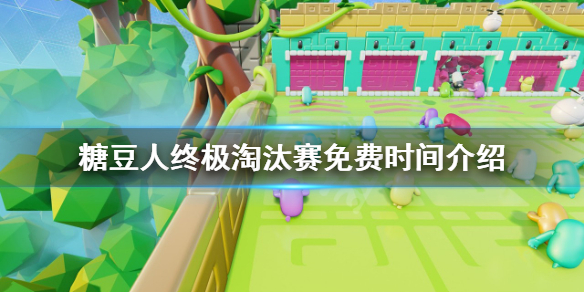 《糖豆人終極淘汰賽》什麼時候免費？免費時間介紹