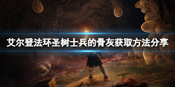 《艾爾登法環》聖樹士兵的骨灰如何獲取？聖樹士兵的骨灰獲取方法分享