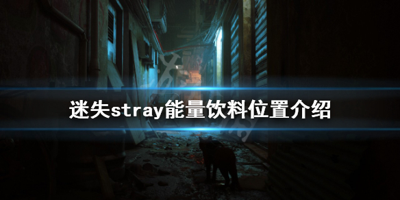 《迷失》能量飲料在哪？stray能量飲料位置介紹