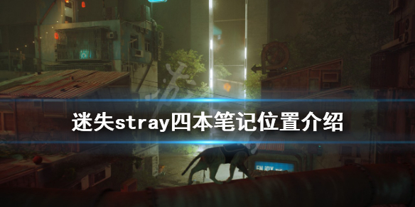 《迷失》筆記在哪？stray四本筆記位置介紹