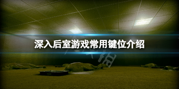 《深入後室》常用鍵位有哪些？游戲常用鍵位介紹