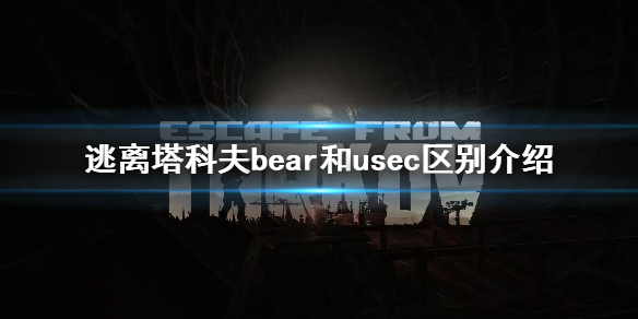 《逃離塔科夫》bear和usec有什麼區別 bear和usec區別介紹