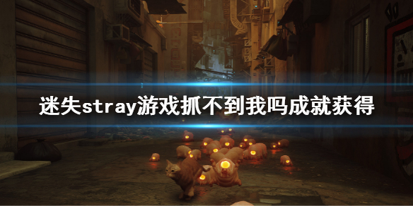 《迷失》stray游戲抓不到我嗎成就獲得 stray游戲cant catch me獎盃獲得