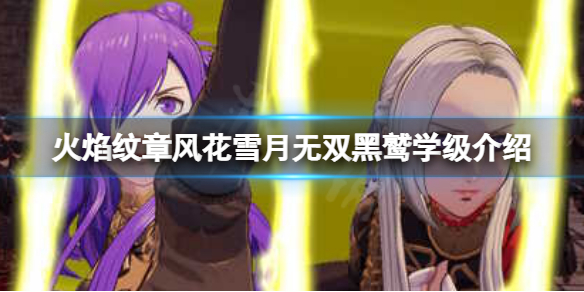 《火焰紋章風花雪月無雙》陣營怎麼選擇？黑鷲學級介紹