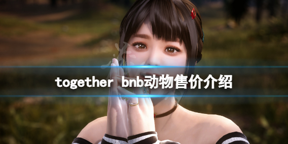 《TOGETHER BnB》動物多少錢？動物售價介紹