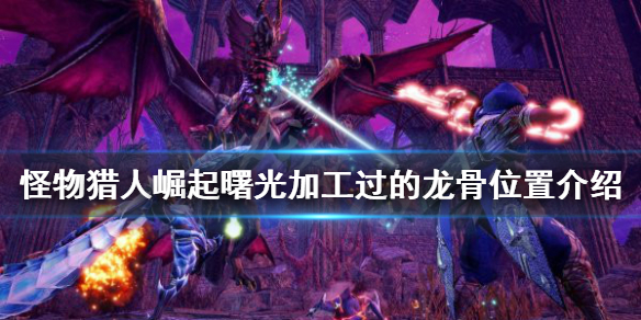 《怪物獵人崛起》加工過的龍骨在哪？曙光加工過的龍骨位置介紹