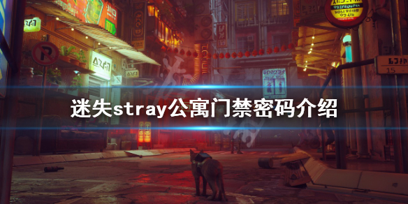 《迷失》公寓門禁密碼是什麼？stray公寓門禁密碼介紹