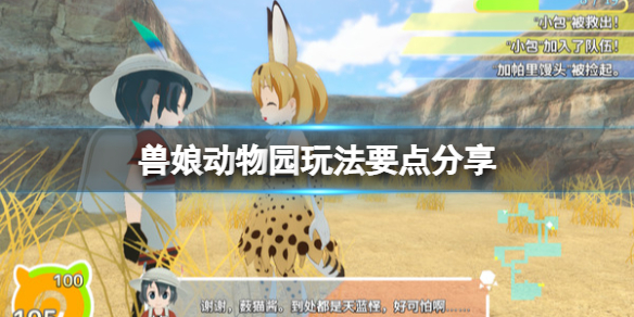《獸娘動物園》有什麼要注意的？玩法要點分享