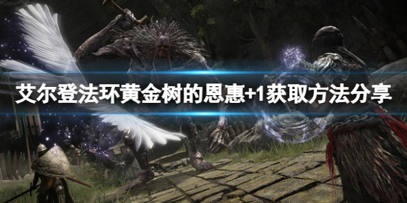 《艾爾登法環》黃金樹的恩惠+1怎麼獲得？黃金樹的恩惠+1獲取方法分享