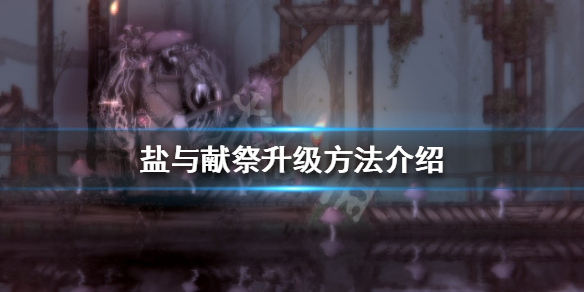 《鹽與獻祭》怎麼升級？升級方法介紹