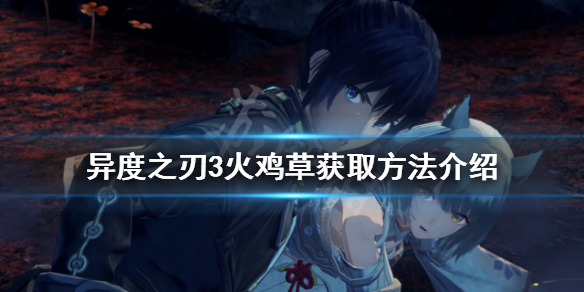 《異度之刃3》火雞草如何獲得？火雞草獲取方法介紹