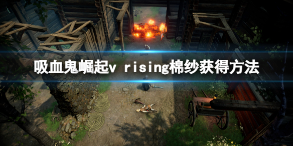 《吸血鬼崛起》棉紗怎麼獲得？v rising棉紗獲得方法