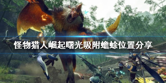 《怪物獵人崛起》吸附蟾蜍在哪？曙光吸附蟾蜍位置分享