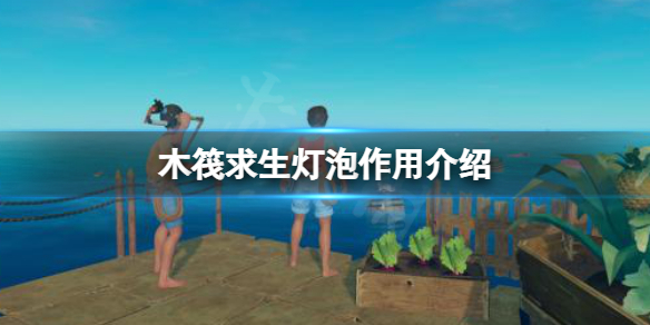 《木筏求生》燈泡有什麼用？raft燈泡作用介紹