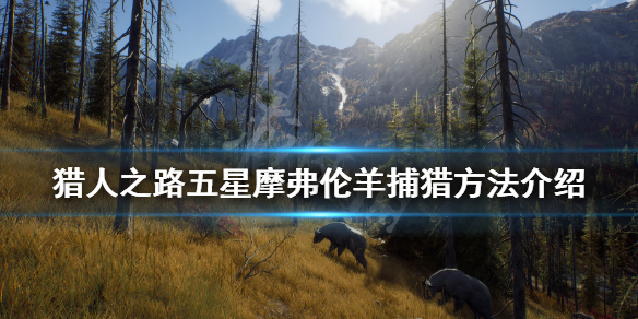《獵人之路》五星摩弗倫羊怎麼抓？五星摩弗倫羊捕獵方法介紹