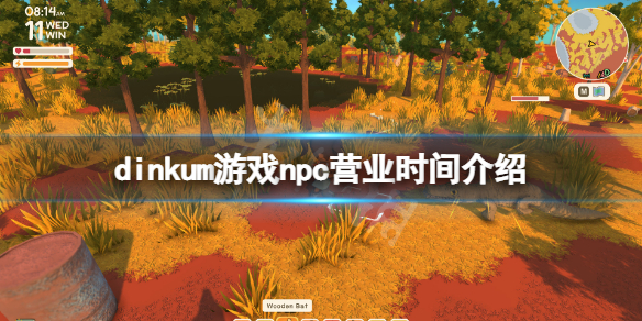 《Dinkum》商店營業時間是什麼？dinkum遊戲npc營業時間介紹