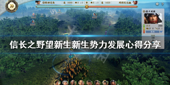 《信長之野望新生》新生勢力如何發展？新生勢力發展心得分享
