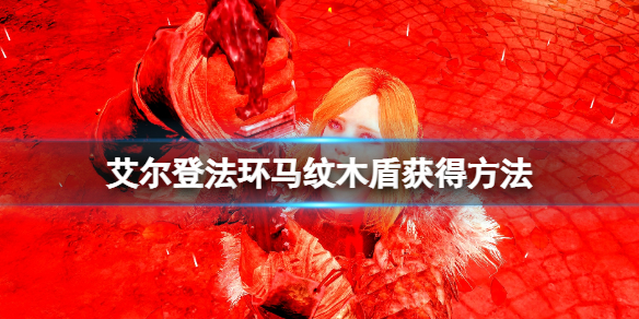 《艾爾登法環》馬紋木盾在哪買？馬紋木盾獲得方法