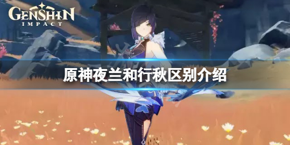 《原神》夜蘭和行秋哪個好？夜蘭和行秋區別介紹