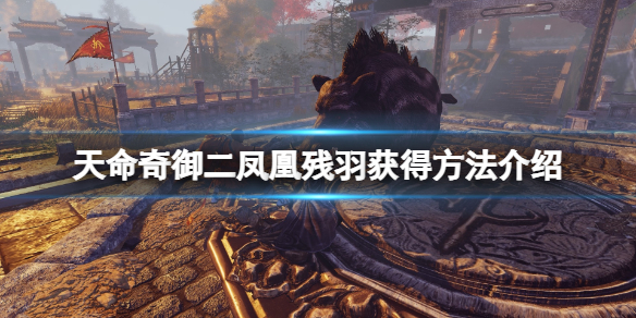 《天命奇御二》鳳凰殘羽怎麼獲得?鳳凰殘羽獲得方法介紹