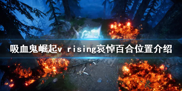 《吸血鬼崛起》哀悼百合哪裡多？v rising哀悼百合位置介紹