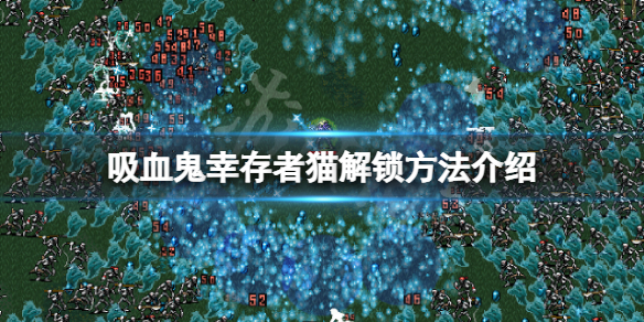 《吸血鬼倖存者》苦澀的貓怎麼解鎖？貓解鎖方法介紹