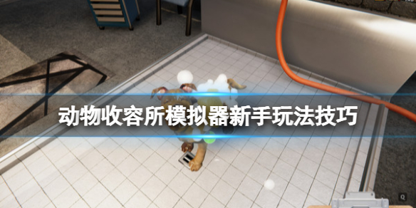 《動物收容所模擬器》怎麼玩？新手玩法技巧