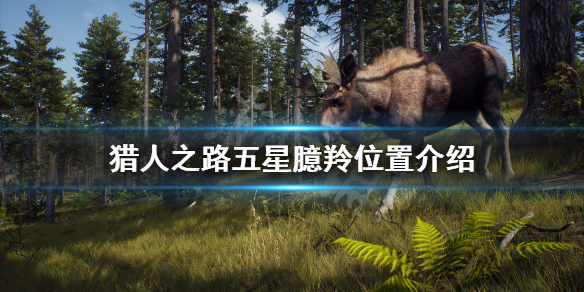 《獵人之路》臆羚在哪？五星臆羚位置介紹