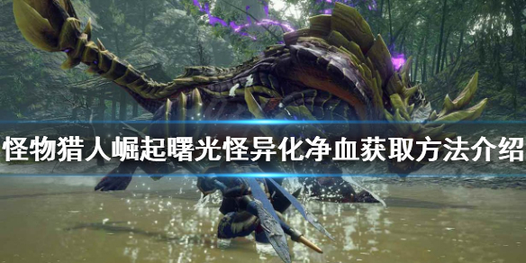 《怪物獵人崛起》怪異化凈血如何獲得？曙光怪異化凈血獲取方法介紹