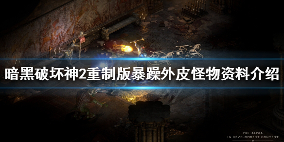 《暗黑破壞神2重製版》皮叔是什麼？暴躁外皮怪物資料介紹