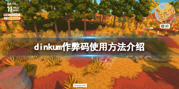 《Dinkum》控制台怎麼用？dinkum作弊碼使用方法介紹