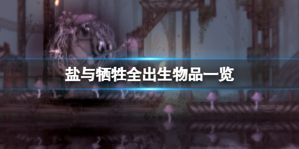 《鹽與獻祭》出生物品有什麼？全出生物品一覽