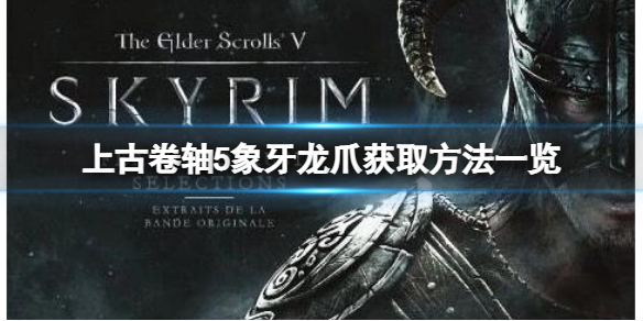 《上古卷軸5》有象牙龍爪嗎？象牙龍爪獲取方法一覽