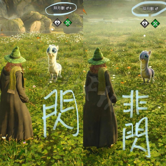 霍格沃茨之遺奇獸抓捕如何抓捕-霍格沃茨之遺奇獸抓捕技巧