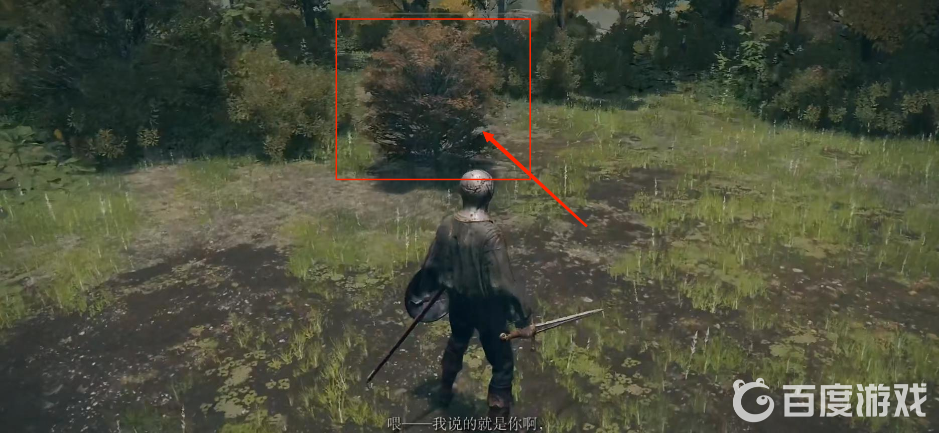 艾爾登法環路過的人啊npc在哪？