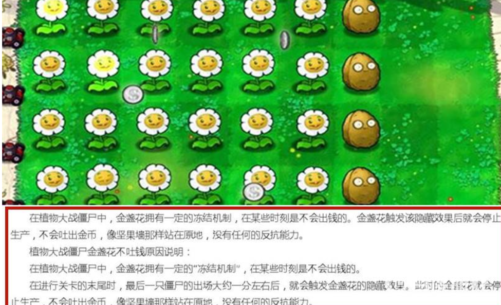 植物大戰僵屍金盞花刷錢規律是怎樣的？