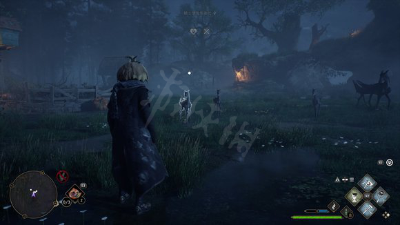 霍格沃茨之遺自己抓的動物能當坐騎嗎-動物使用方法