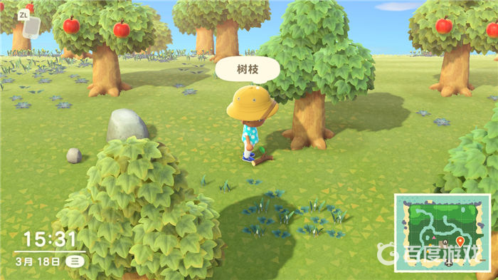 switch撿樹枝是什麼游戲？