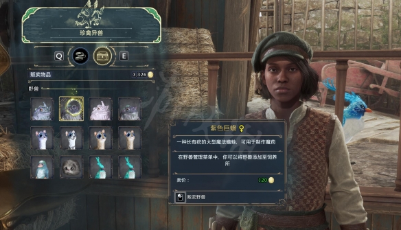 霍格沃茨之遺動物在哪賣-霍格沃茨之遺動物出售方法