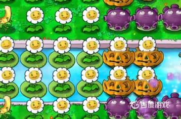 植物大戰僵屍怎麼提高盆栽爆率？